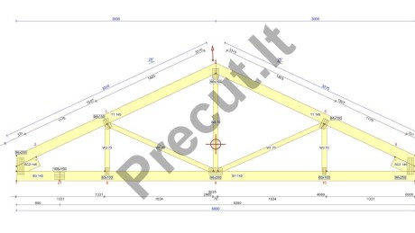 Garažo 36 m² su dviem sandėliukais po 6 m² konstrukciniai sprendimai su santvariniu stogu